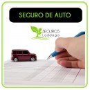 10-Seguro de Autos