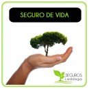 10-Seguros de Vida